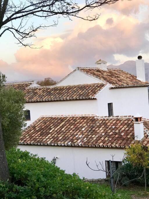 Carmen Magnificent In Serrania